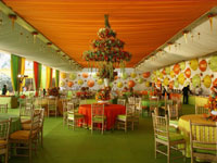 Weddings