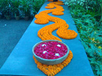 Weddings