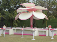 Weddings