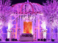 Weddings