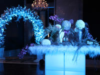 Weddings