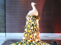 Weddings