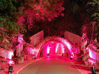 Weddings