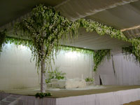 Weddings